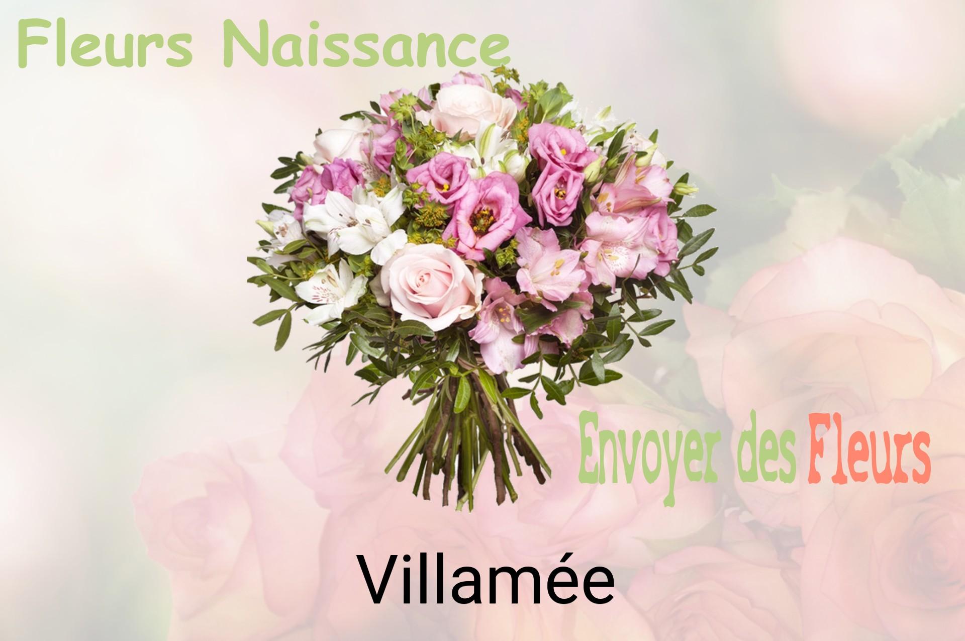 Bouquet de fleurs de naissance livré à Villamée
