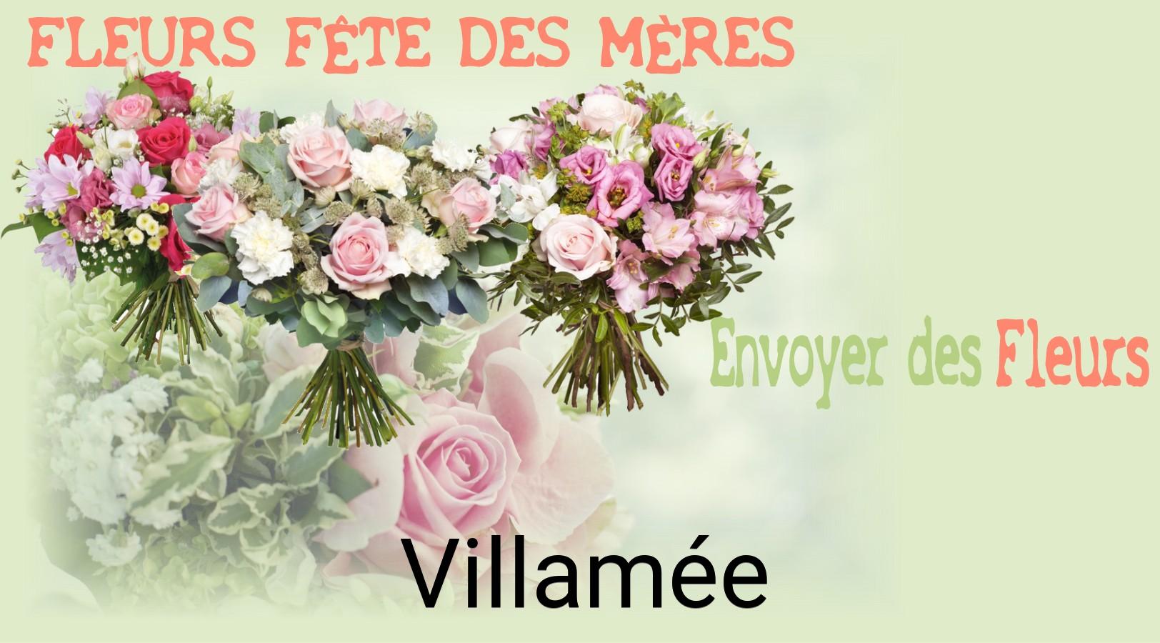 Bouquet de Fête des Mères livré à Villamée